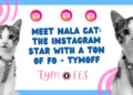 meet nala cat: the instagram star with a ton of fo – tymoff