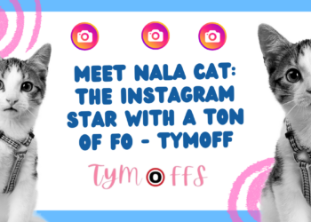 meet nala cat: the instagram star with a ton of fo – tymoff
