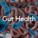 Effective Strategies to Support a Healthy Gut Microbiome