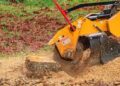 The Complete Guide to Stump Removal: Techniques, Costs, and Considerations